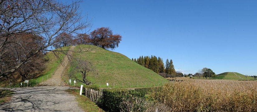 ap_w8551.jpg
